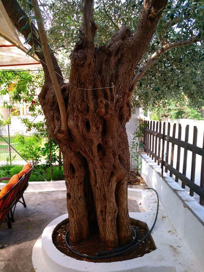 Our Parent'S House. Family House For Rent Villa Skala Kallirakhis Bagian luar foto
